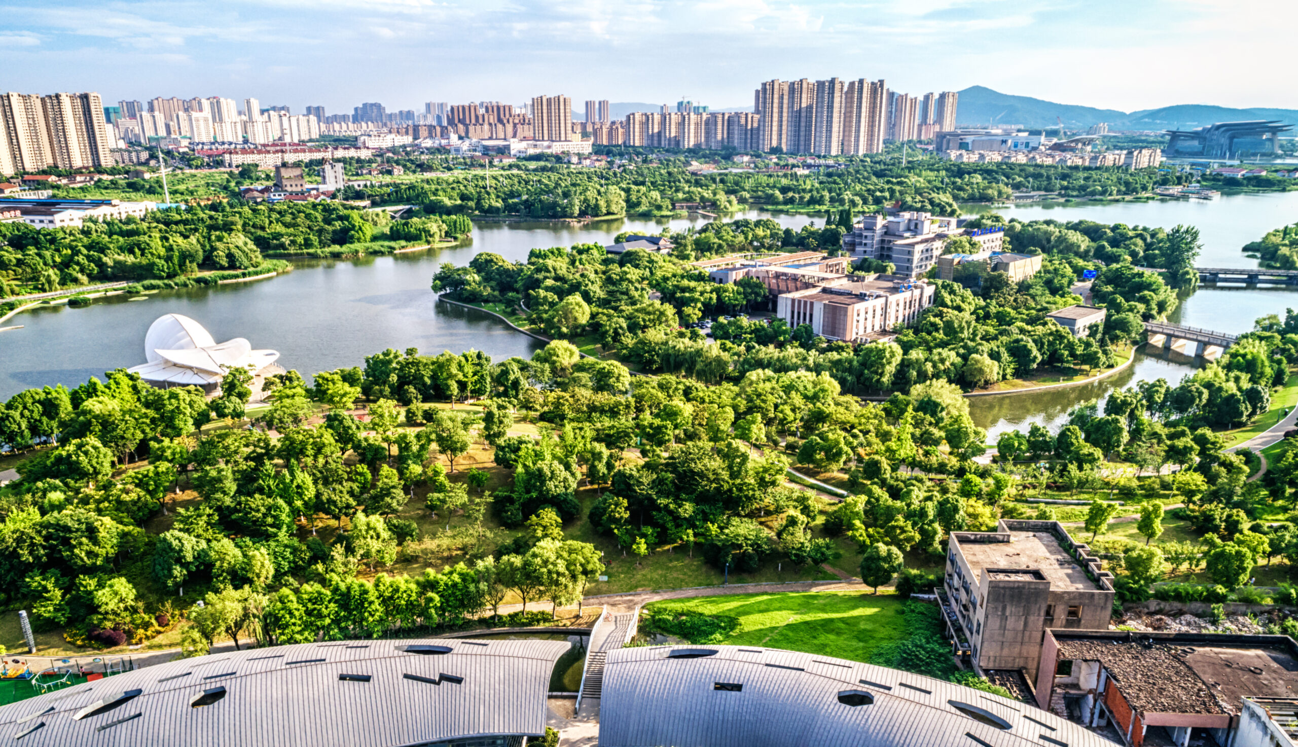 park with city